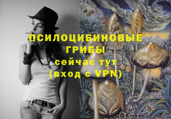 прущая мука Кинешма
